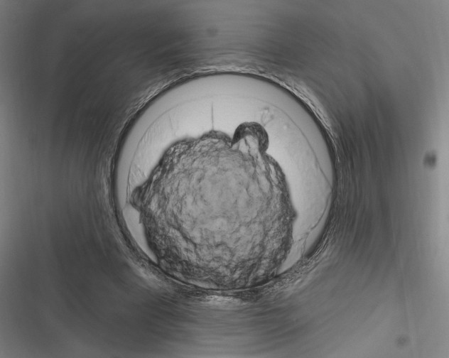 X0000116280393201001111040