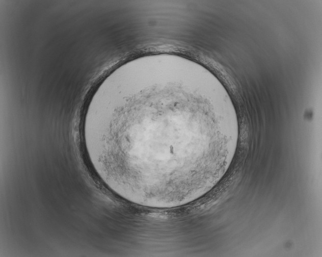 X0000116280394201001111040