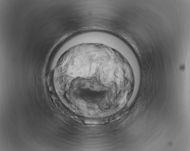 X0000116280395201001111040