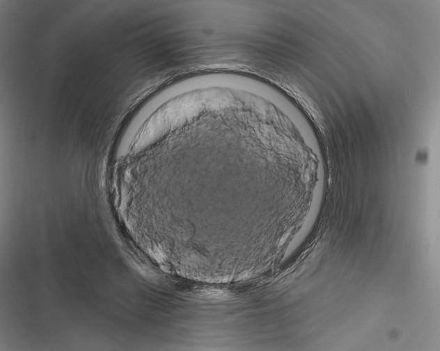 X0000116280397201001111040