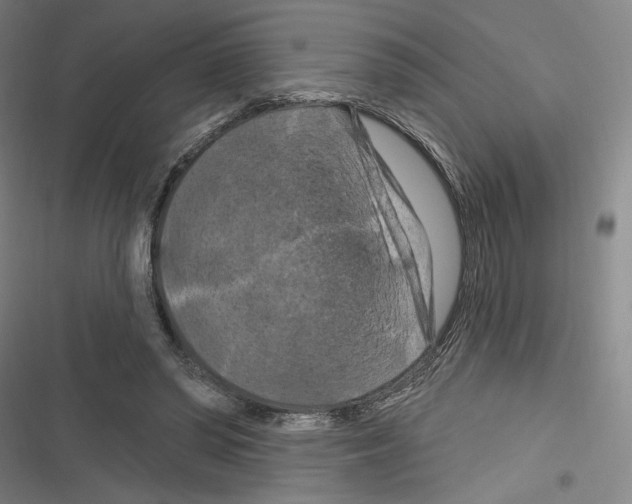 X0000116280398201001111039