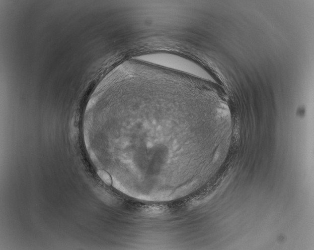 X0000116280402201001111039