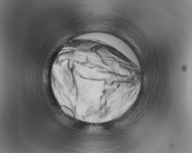 X0000116280403201001111039