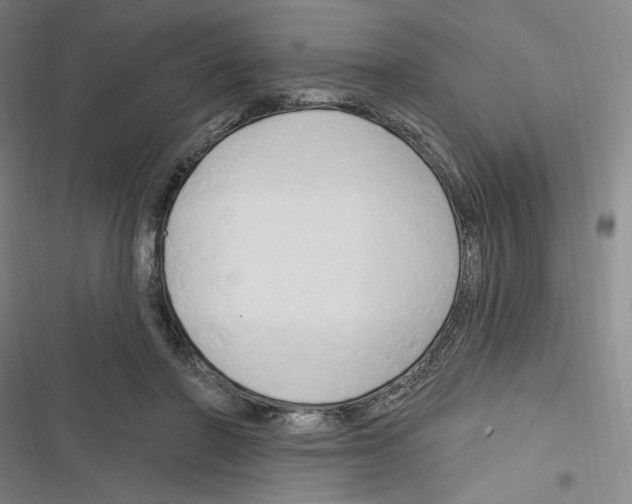 X0000116280406201001111039