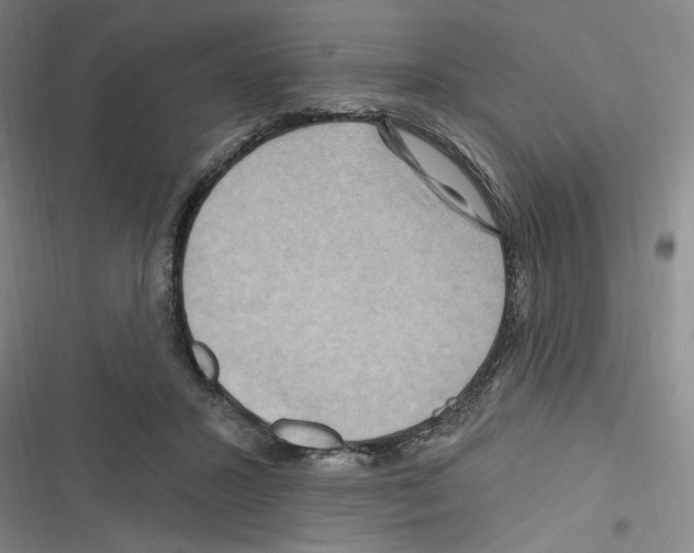 X0000116280407201001111039