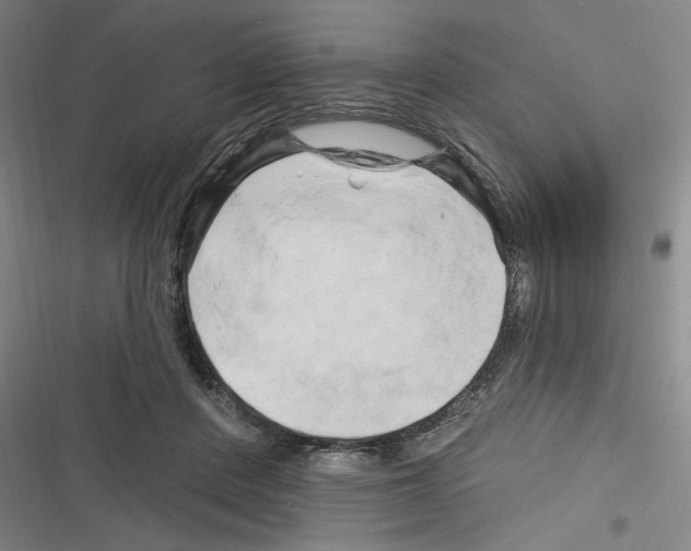 X0000116280408201001111039