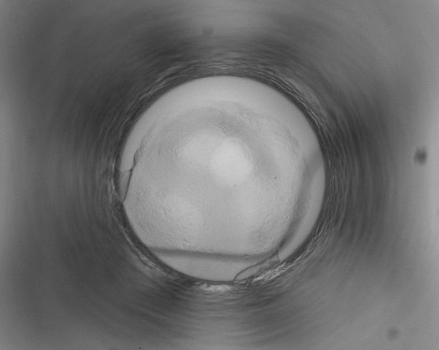 X0000116280409201001111039