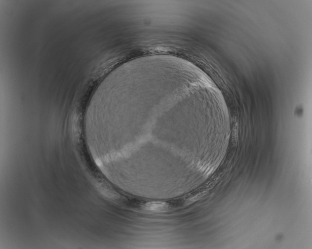 X0000116280410201001111039
