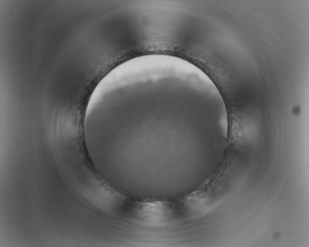 X0000116280411201001111039