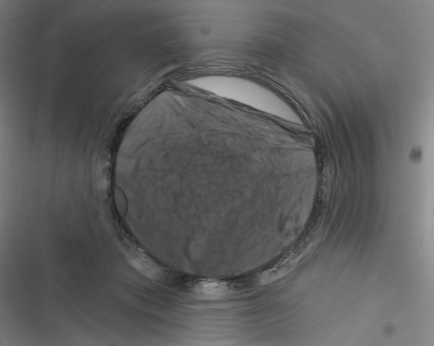 X0000116280413201001111039