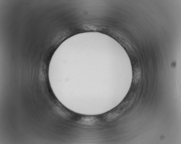 X0000116280414201001111039
