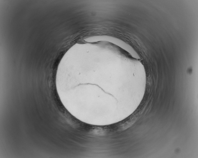 X0000116280416201001111039