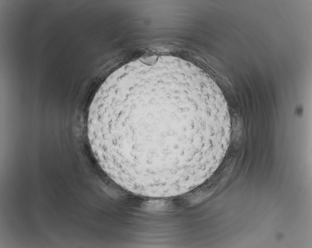 X0000116280418201001111039