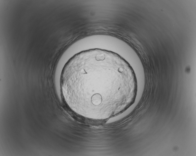 X0000116280419201001111039