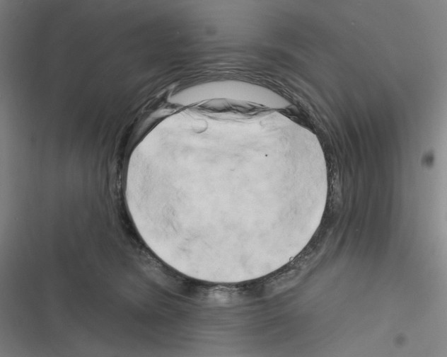 X0000116280420201001111039