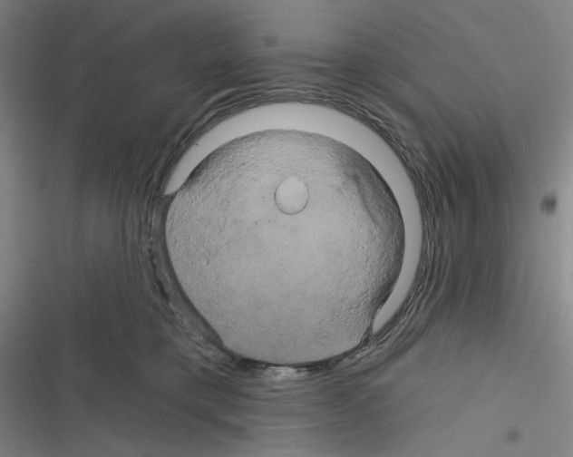 X0000116280421201001111039