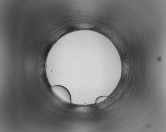 X0000116280422201001111039
