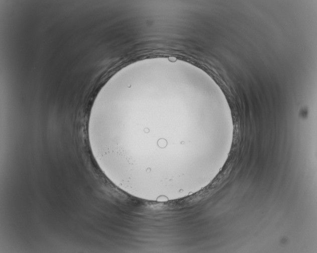 X0000116280423201001111039