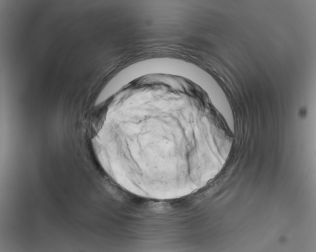 X0000116280424201001111039