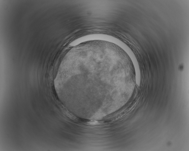 X0000116280425201001111039