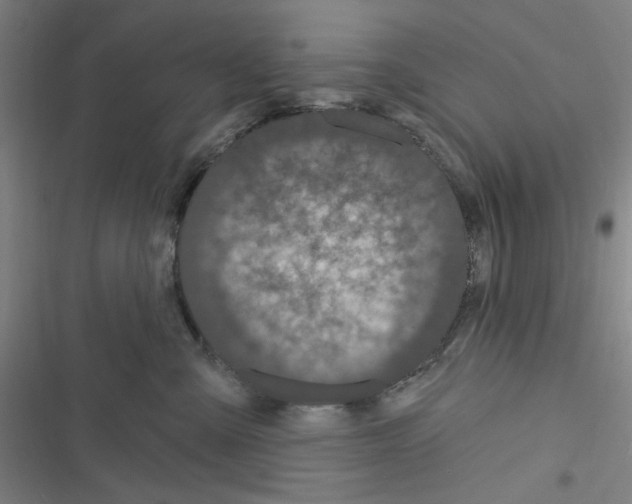 X0000116280427201001111039