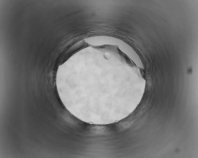 X0000116280428201001111039