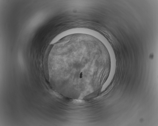 X0000116280429201001111039