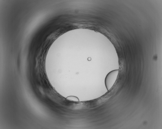 X0000116280430201001111039