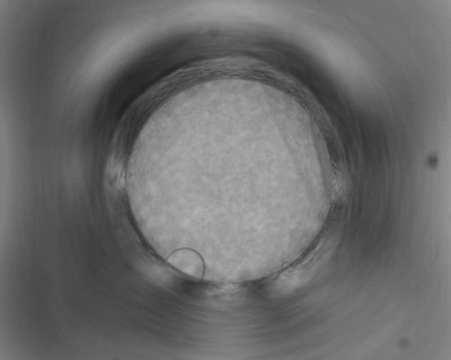 X0000116280431201001111039