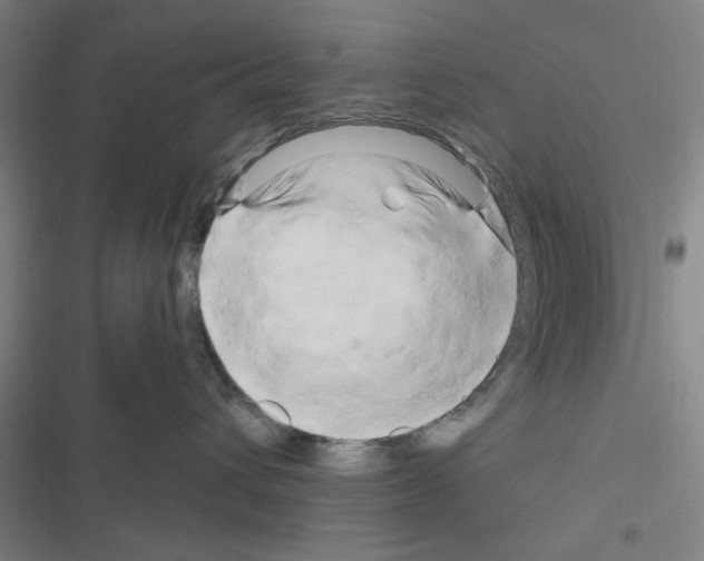 X0000116280432201001111039