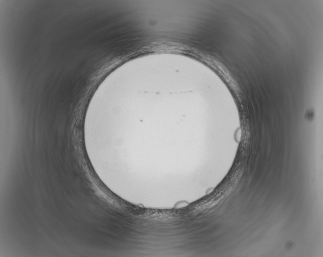 X0000116280433201001111038