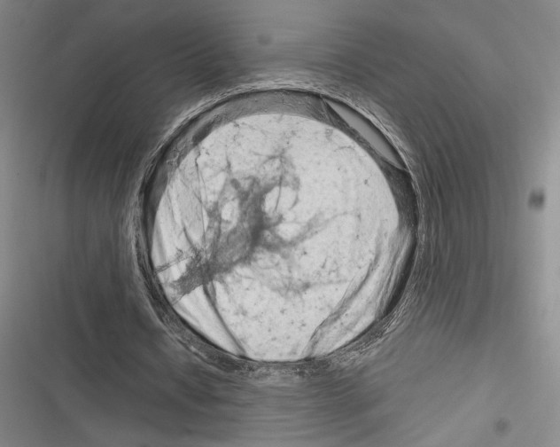 X0000116280434201001111038
