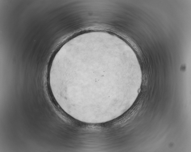 X0000116280437201001111038