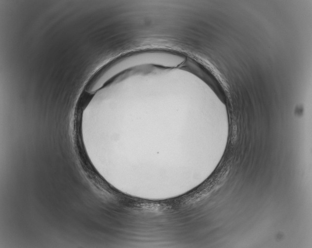 X0000116280439201001111038