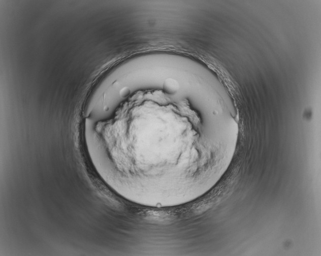 X0000116280442201001111038