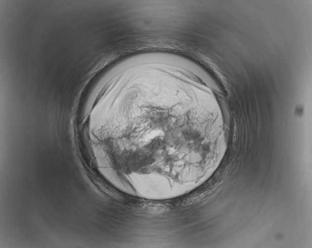 X0000116280443201001111039