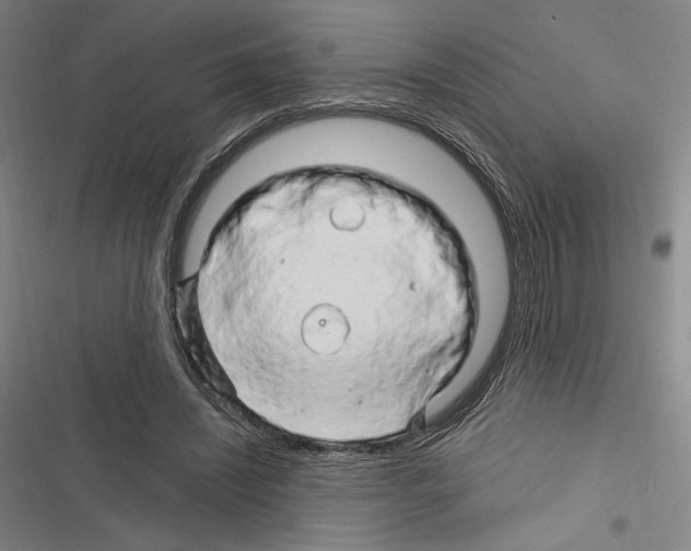X0000116280444201001111039