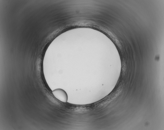 X0000116280445201001111039