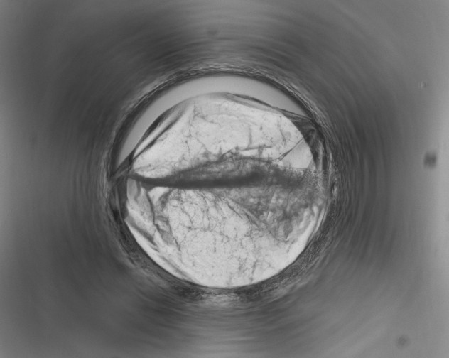 X0000116280446201001111039
