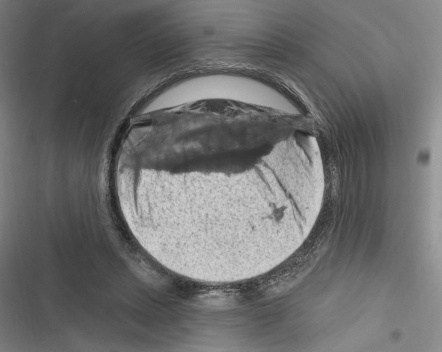 X0000116280447201001111039