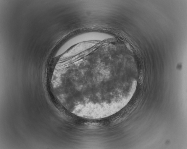 X0000116280448201001111039