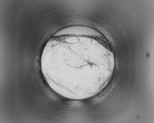 X0000116280449201001111039