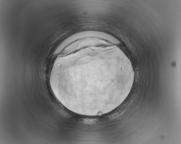 X0000116280450201001111039