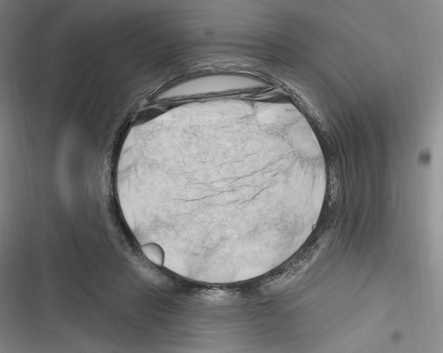 X0000116280453201001111039