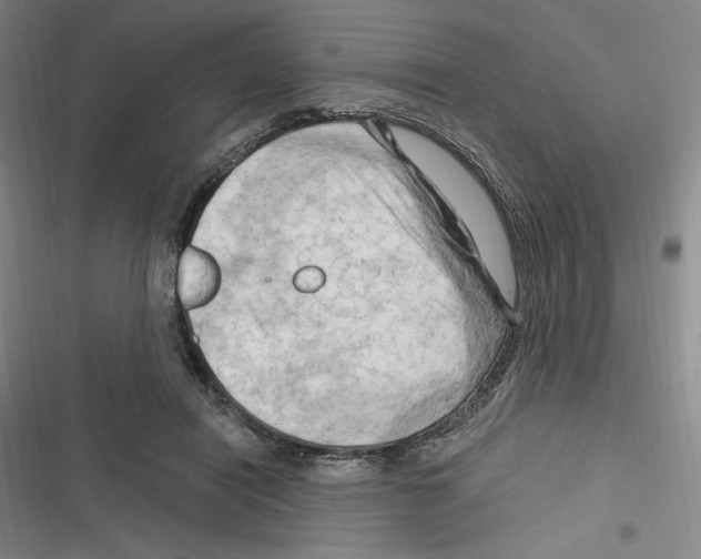 X0000116280454201001111039