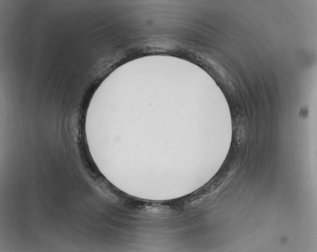 X0000116280455201001111039