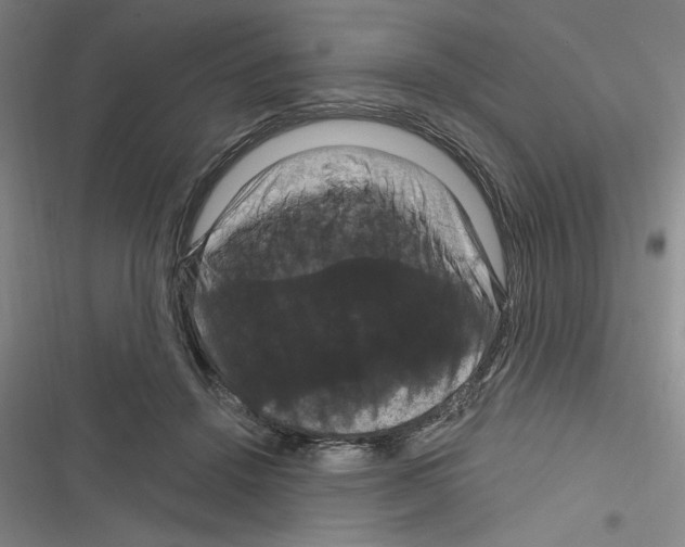 X0000116280456201001111039