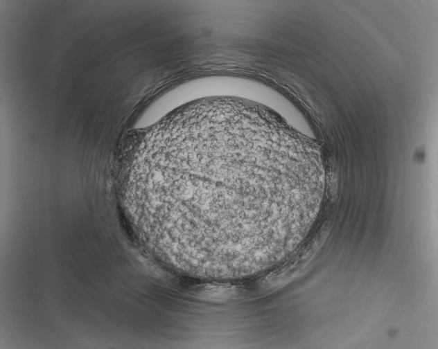 X0000116280458201001111039