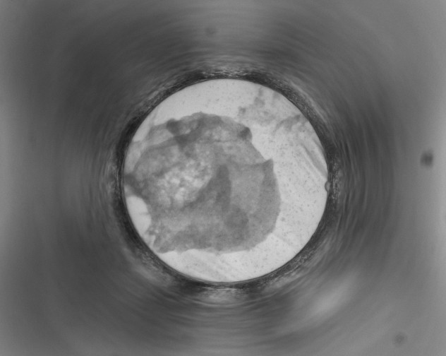 X0000116280459201001111039