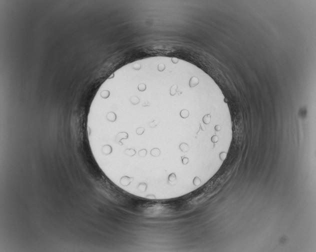 X0000116280460201001111039